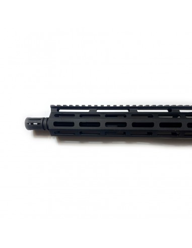 Carabina Semiautomatica Astra Arms VG4 Brutale Cal. 223 Remington Carabina Semiautomatica Astra Arms VG4 Brutale Cal. 223 Remington