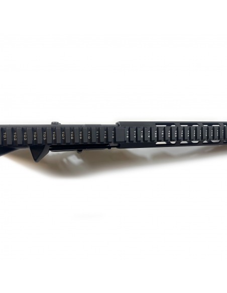 Carabina Semiautomatica Astra Arms VG4 Brutale Cal. 223 Remington Carabina Semiautomatica Astra Arms VG4 Brutale Cal. 223 Remington