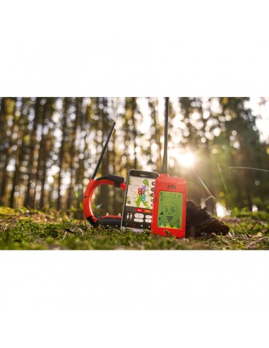 DOG TRACE GPS X30T ZUSÄTZLICHES HALSBAND MIT TRAININGSMODUL DOG TRACE GPS X30T ZUSÄTZLICHES HALSBAND MIT TRAININGSMODUL