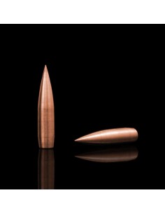 WINDCUT PALLE CAL .408 399GR ELR 50PZ. 2