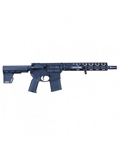 FoldAR AR15 Cal. 223 Remington