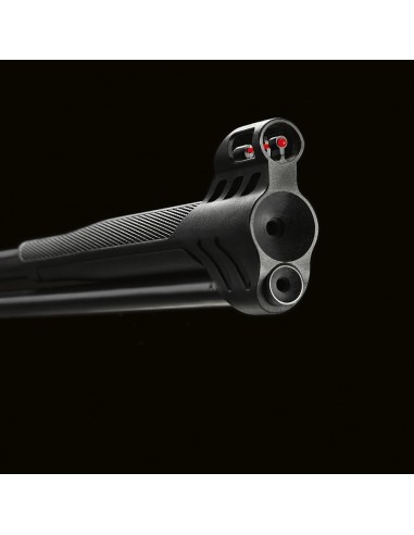 Air Rifle Stoeger RX40 Wood Combo Cal. 4,5mm