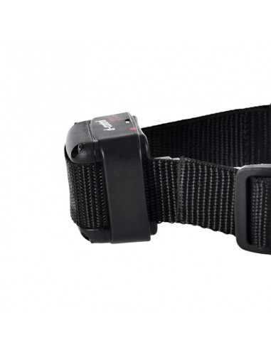 DOG TRACE COLLARE ADDESTRAMENTO D-CONTROL 600 DOG TRACE COLLARE ADDESTRAMENTO D-CONTROL 600