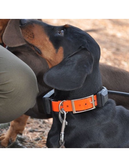 DOG TRACE GPS X30T ZUSÄTZLICHES HALSBAND MIT TRAININGSMODUL DOG TRACE GPS X30T ZUSÄTZLICHES HALSBAND MIT TRAININGSMODUL