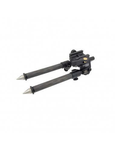 AUDERE SHADOW ZWEIBEIN ARCA AUDERE SHADOW ZWEIBEIN ARCA