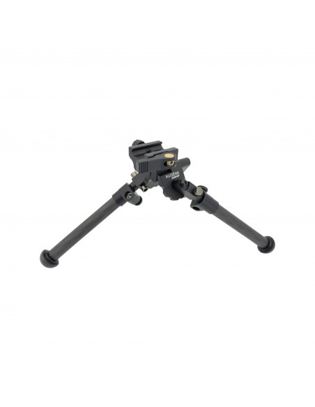 AUDERE BIPIEDE SHADOW ARCA