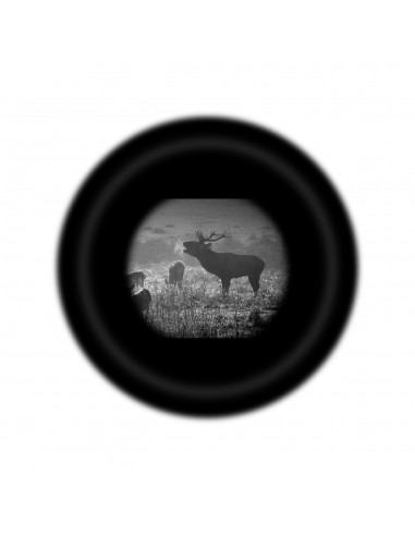 PULSAR DIGITAL NIGHT VISION MONOCULAR FORWARD FN455S PULSAR DIGITAL NIGHT VISION MONOCULAR FORWARD FN455S