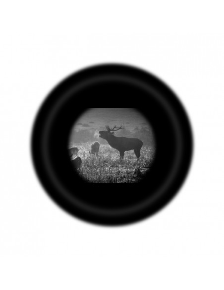 PULSAR DIGITAL NIGHT VISION MONOCULAR FORWARD FN455S PULSAR DIGITAL NIGHT VISION MONOCULAR FORWARD FN455S