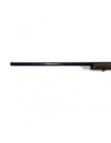 Gewehr Investarm 70 Cal. 28 Gewehr Investarm 70 Cal. 28