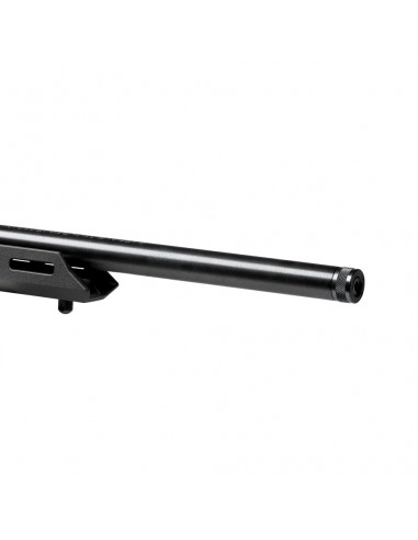 Selbstladekarabiner Savage 64 Precision Cal. 22 LR Selbstladekarabiner Savage 64 Precision Cal. 22 LR