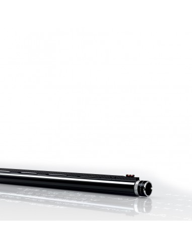 Fucile Semiautomatico Benelli Raffaello A.I. Silver Cal. 12