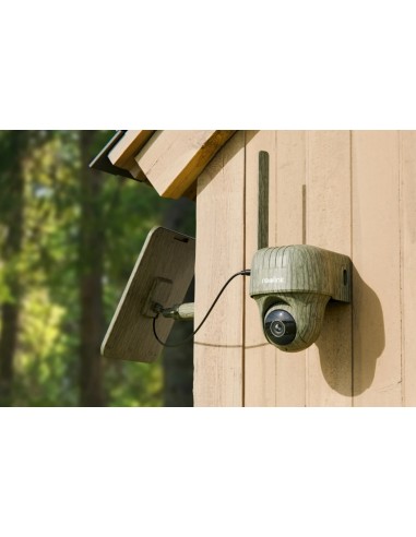 REOLINK WILDKAMERA GO RANGER PT MIT SOLARBETRIEBEN REOLINK WILDKAMERA GO RANGER PT MIT SOLARBETRIEBEN