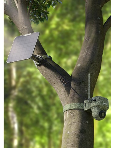 REOLINK WILDKAMERA GO RANGER PT MIT SOLARBETRIEBEN REOLINK WILDKAMERA GO RANGER PT MIT SOLARBETRIEBEN