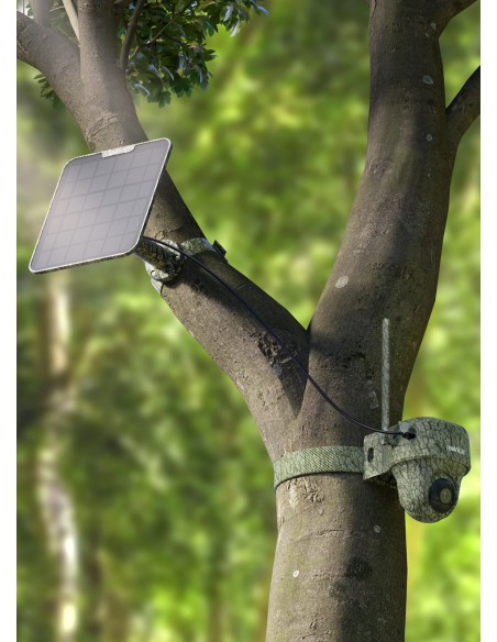 REOLINK WILDKAMERA GO RANGER PT MIT SOLARBETRIEBEN REOLINK WILDKAMERA GO RANGER PT MIT SOLARBETRIEBEN