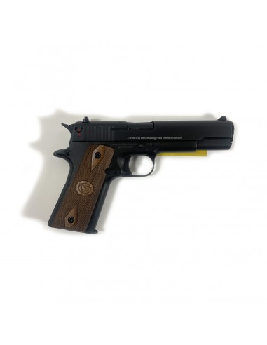 Pistola Semiautomatica Chiappa Mod. 1911 Cal. 22 LR