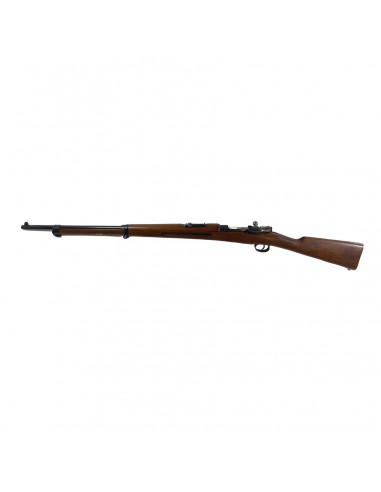Carl Gustav 96/38 Cal. 6,5x55mm Carl Gustav 96/38 Cal. 6,5x55mm