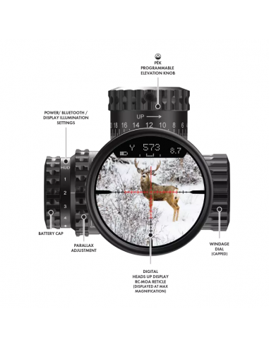 BURRIS SCOPE VERACITY PH 4-20X50 FFP ILLUMINATO