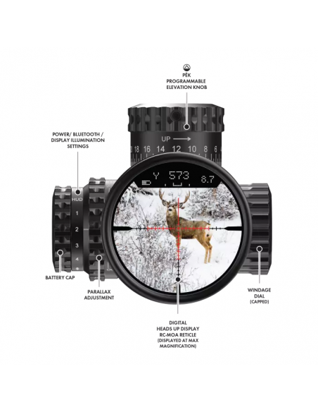 BURRIS SCOPE VERACITY PH 4-20X50 FFP ILLUMINATO