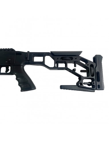 Carabina Aria Compressa Epic Airguns Two Cal. 5,5mm