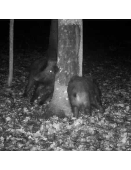 ATRA TEER LOCKMITTEL BUCHE 320GR