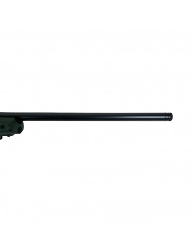 TIKKA T3X CTR GRS BLFROST 308 WINCHESTER TIKKA T3X CTR GRS BLFROST 308 WINCHESTER