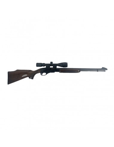 Remington 572 Fieldmaster Cal 22 Long Range