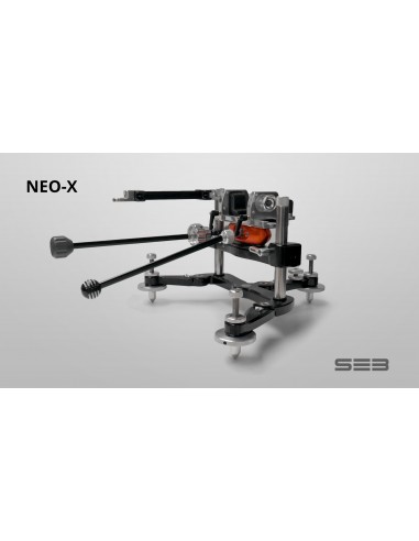 SEB REST NEO X | ARMERIA REGINA