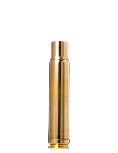 NORMA BRASS CAL. 460 WEATHERBY MAGNUM 50 PCS.