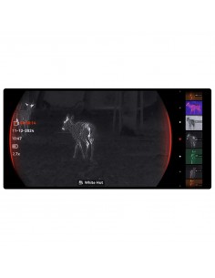 HIKMICRO FALCON FQ35 2.0 MONOCOLO TERMICO 2