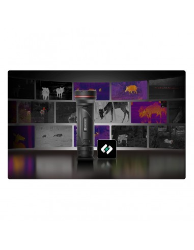 HIKMICRO FALCON FQ50 2.0 THERMAL MONOCULAR