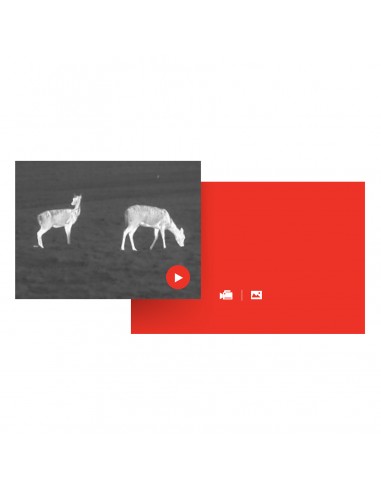 HIKMICRO LYNX PRO LE15S THERMAL MONOCULAR