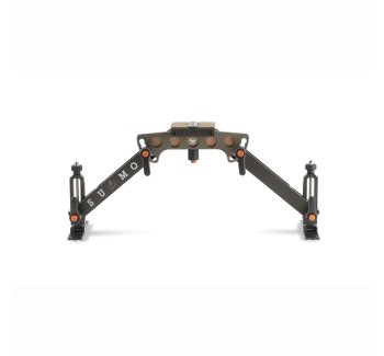 SUMO ZWEIBEIN F-KLASSE MITTEL | ARMERIA REGINA