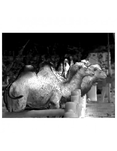 OWL HULUX Thermal ClipOn