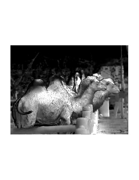 OWL HULUX Thermal ClipOn