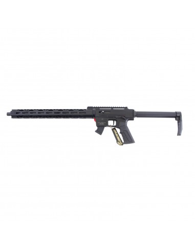 Selbstladekarabiner Derya TM22 A18 Cal 22 LR Selbstladekarabiner Derya TM22 A18 Cal 22 LR