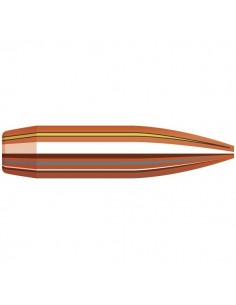 HORNADY PALLE BTHP MATCH 224" 75GR 100PZ.
