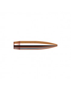 HORNADY PALLE BTHP MATCH 243" 105GR 100PZ.