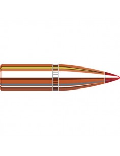 HORNADY PALLE SST 243" 95GR 100PZ.