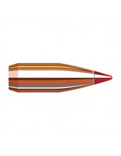 HORNADY PALLE V-MAX 243" 65GR 100PZ.