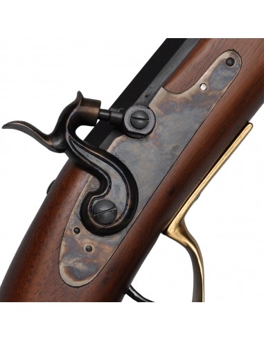 Pedersoli Traditional Hawken Target a percussione Cal 54