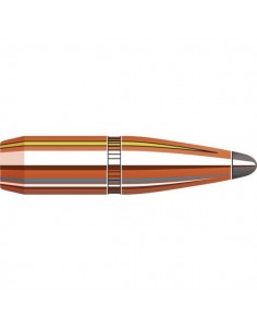 HORNADY PALLE 243" 100GR BTSP 100PZ