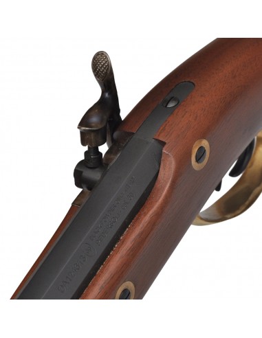 Pedersoli Traditional Hawken Target a percussione Cal 54