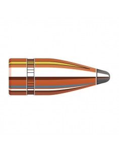 HORNADY PALLE 310" 123GR SP