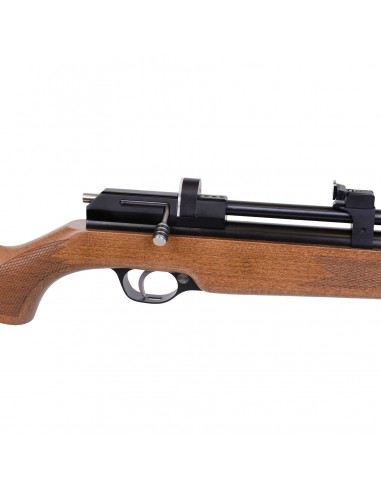 Carabina Aria Compressa Diana Stormrider Cal 5,5mm