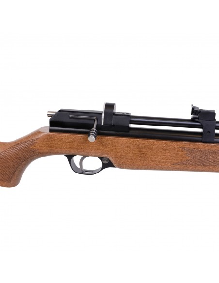 Carabina Aria Compressa Diana Stormrider Cal 5,5mm