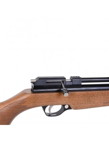 Carabina Aria Compressa Diana Stormrider Cal 5,5mm