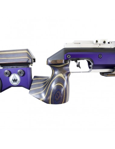 Carabina Aria Compressa Feinwerkbau P70 Field Target Cal 4,5mm