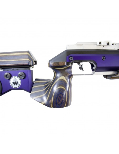 Carabina Aria Compressa Feinwerkbau P70 Field Target Cal 4,5mm