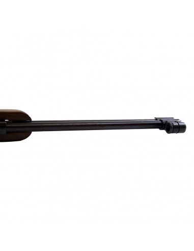 Carabina Aria Compressa Weihrauch HW77K Cal 6,5mm