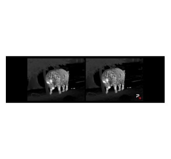 Nocpix ACE 640 L 50mm LRF Thermal Imaging Optics